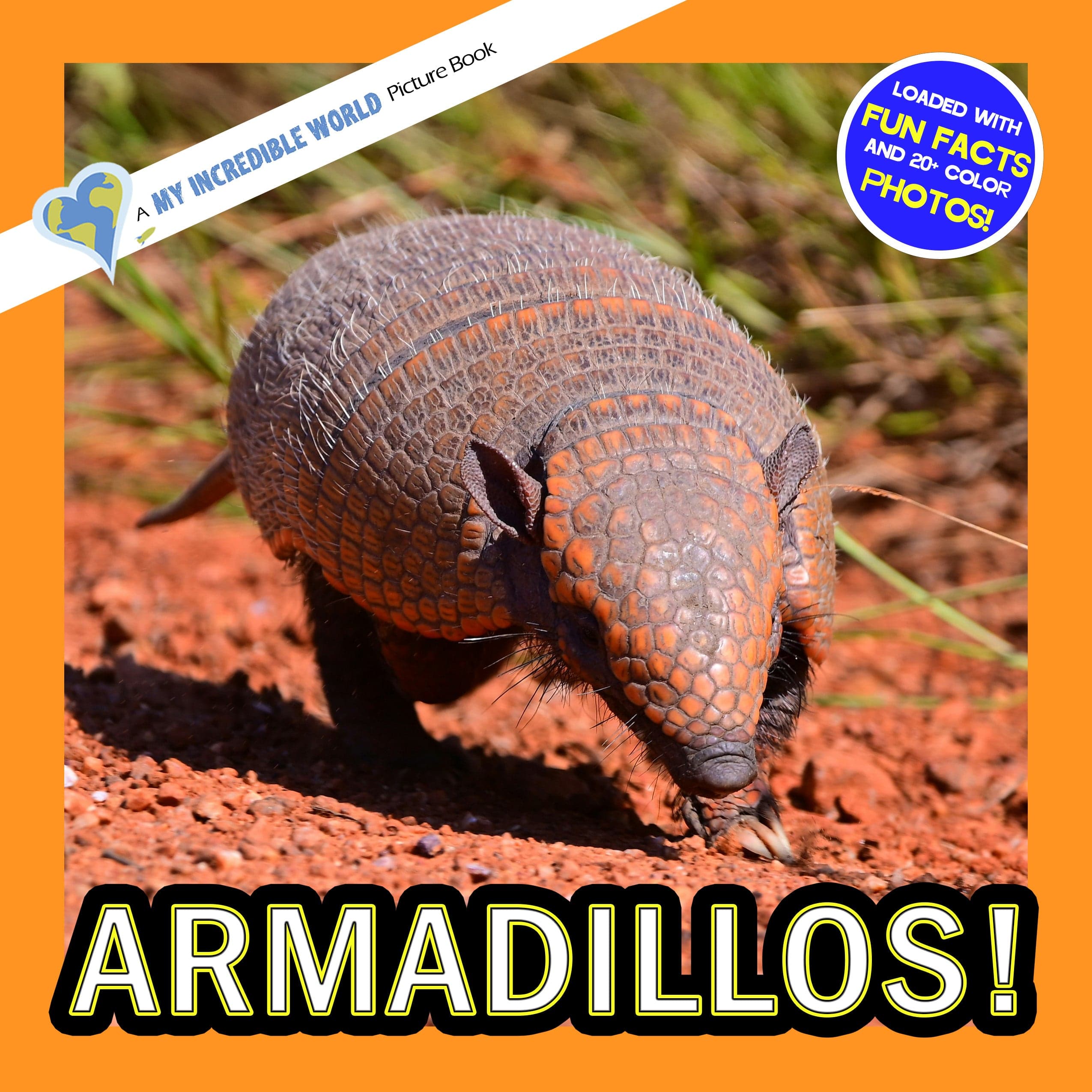 Armadillos! A My Incredible World Picture Book for Children